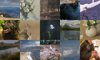 Картина дня