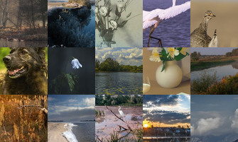 Картина дня