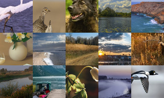 Картина дня