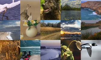 Картина дня