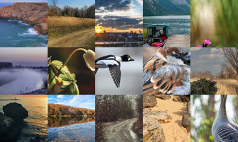 Картина дня