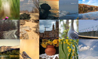 Картина дня