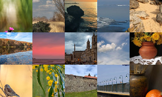 Картина дня