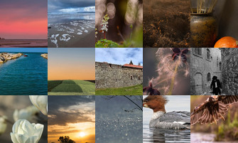 Картина дня