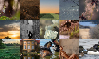 Картина дня