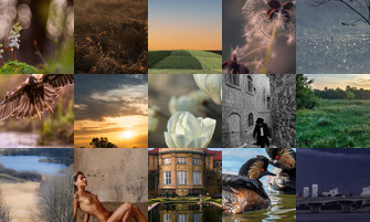 Картина дня