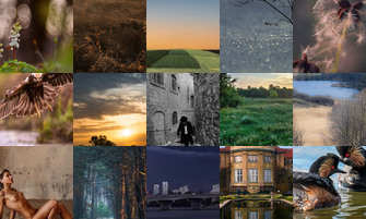 Картина дня