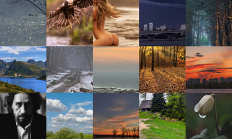 Картина дня