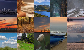 Картина дня