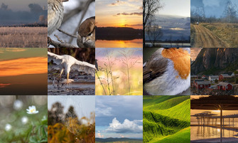 Картина дня