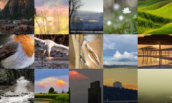 Картина дня