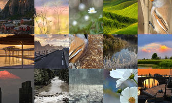 Картина дня