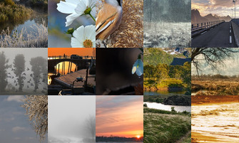 Картина дня