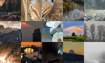 Картина дня