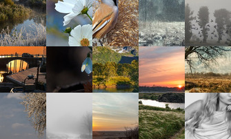 Картина дня