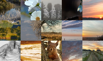 Картина дня