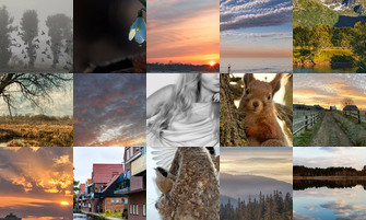 Картина дня