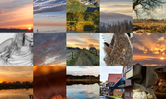 Картина дня