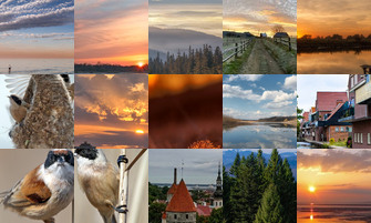 Картина дня