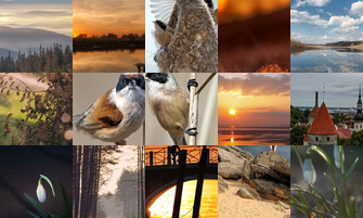 Картина дня