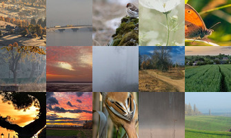 Картина дня