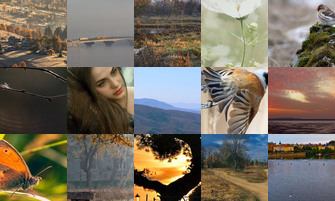 Картина дня