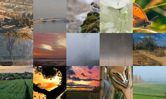 Картина дня