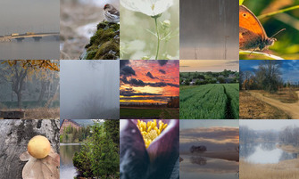 Картина дня