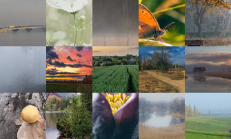 Картина дня