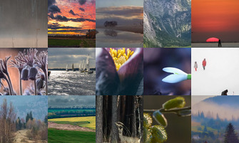 Картина дня