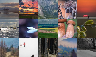 Картина дня