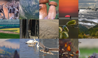 Картина дня