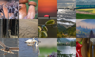 Картина дня