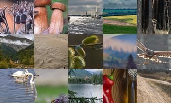 Картина дня