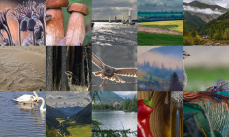 Картина дня