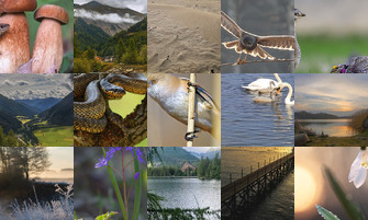 Картина дня