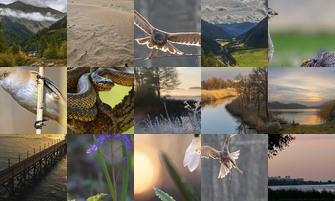 Картина дня