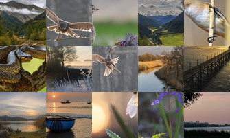 Картина дня