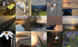 Картина дня