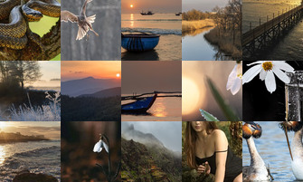 Картина дня