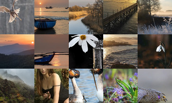 Картина дня