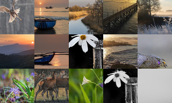 Картина дня