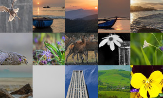 Картина дня