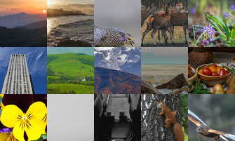 Картина дня