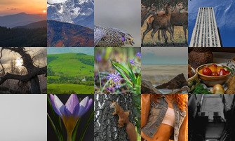 Картина дня