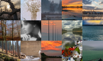 Картина дня