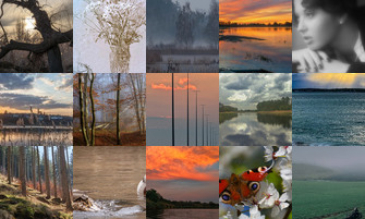 Картина дня