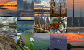 Картина дня