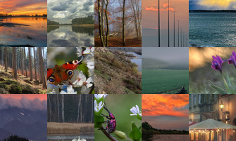 Картина дня