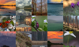 Картина дня